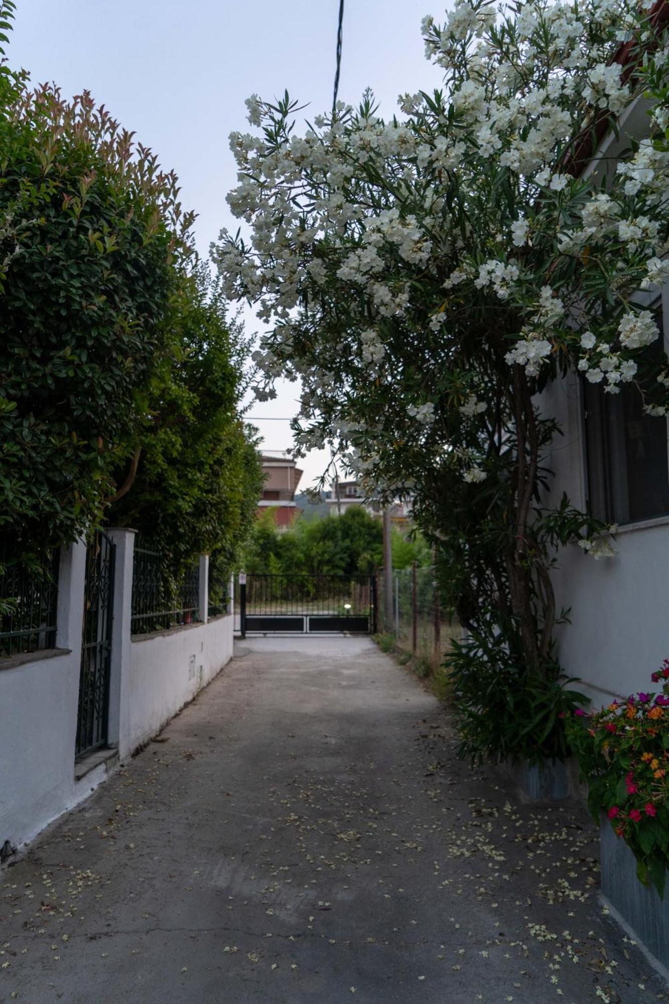 Terrazzo House Villa Platamonas Buitenkant foto
